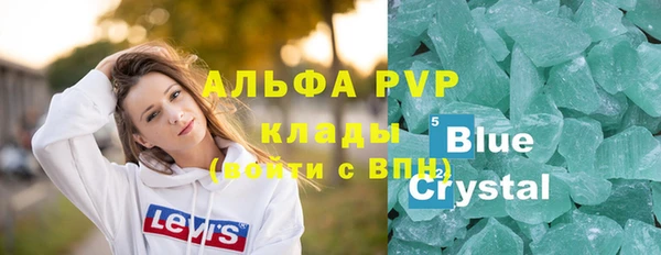 СК Новодвинск