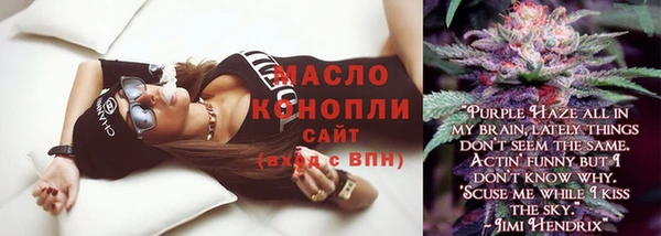 сатива Новокубанск