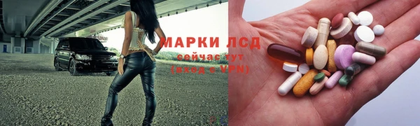СК Новодвинск