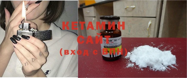 СК Новодвинск