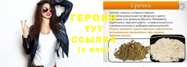 СК Новодвинск