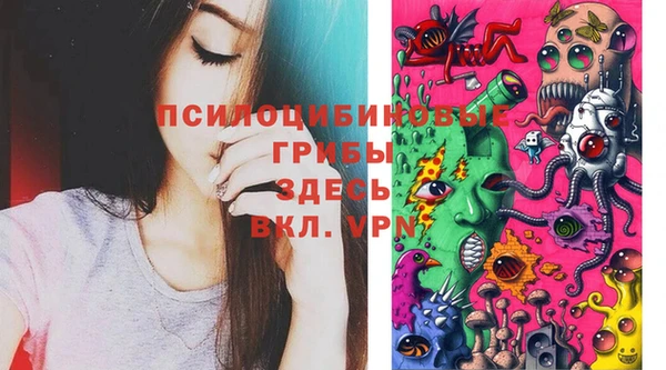 СК Новодвинск