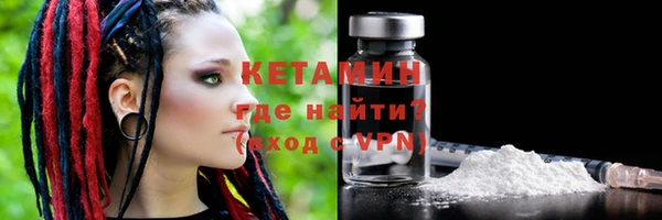 СК Новодвинск