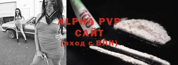 сатива Новокубанск