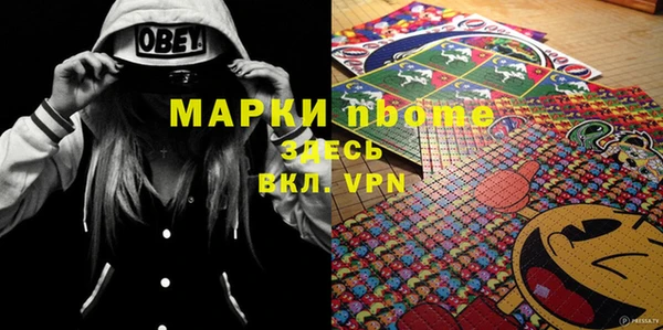 сатива Новокубанск