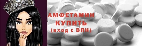 сатива Новокубанск