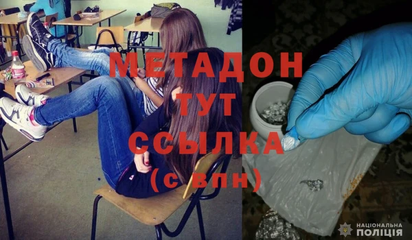 сатива Новокубанск