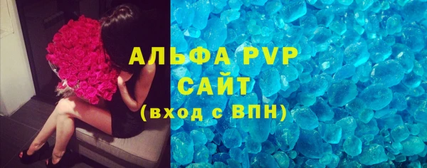 сатива Новокубанск