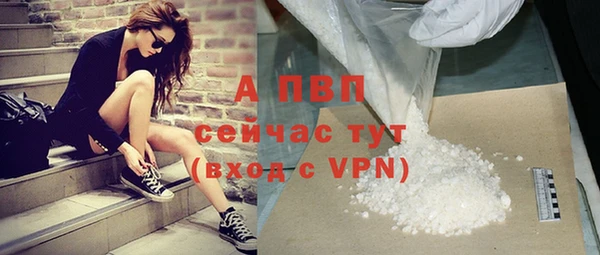 сатива Новокубанск