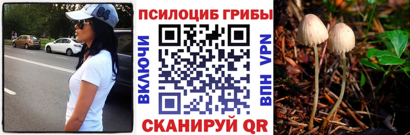 купить  цена  Сергач  Галлюциногенные грибы мухоморы 